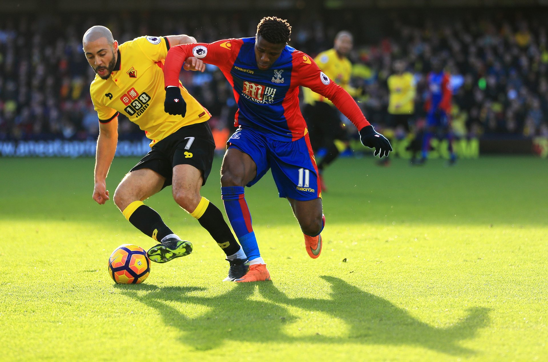 与不同风格 与不同风格